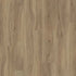 Polyflor Colonia Pur LVT Coastal Driftwood 4453