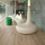 Polyflor Affinity 255 Pur Dappled Oak Vinyl Flooring Tiles 9875