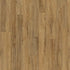 Polyflor Expona Bevel Line Pur LVT Flooring Enriched Variety Oak 2815