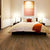 Polyflor Expona Commercial Pur LVT Flooring Antique Oak 4016