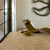 Polyflor Expona Commercial Pur LVT Flooring Blond Country Plank 4017