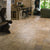 Faus Palatino Vesubio Laminate Flooring 8mm S172579